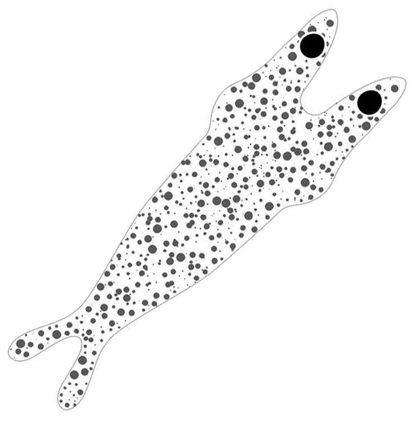 Clear base black dots