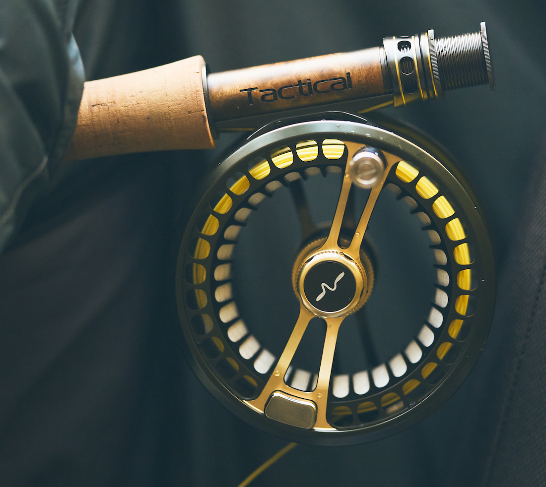 P-23761_Guideline_Fario_LW_2