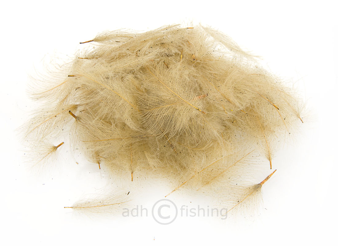 SwissCDC_CDCFeathersSuperSelect100_17Sand_hi 17 sand