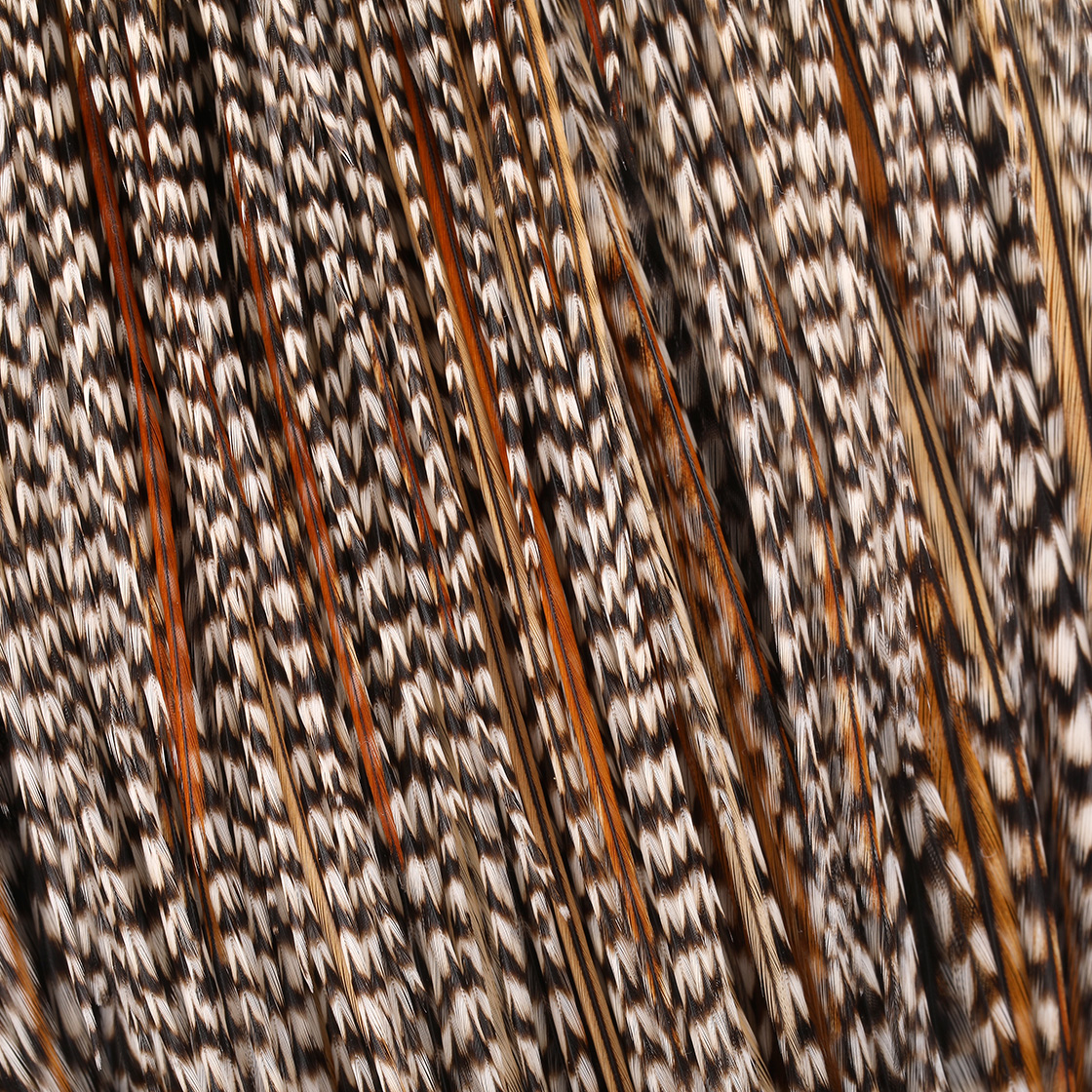 P-29042_Whiting-Commercial-Cape_detail