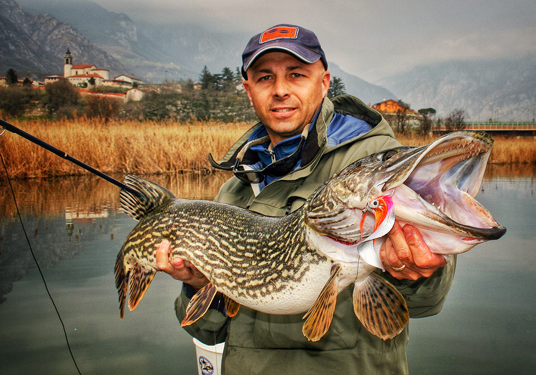 paolo-pacchiarini-wiggle-tails-pike Paolo Pacchiarini