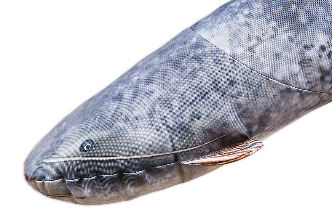 P-29172_Fischkissen_Kuscheltier_Wels_62cm_1yqdt4oMoYLuEV