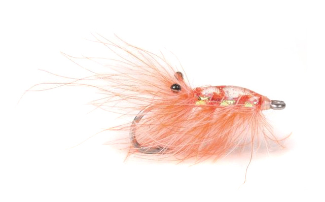 Sea Trout Fly Runars CDC Reke orange