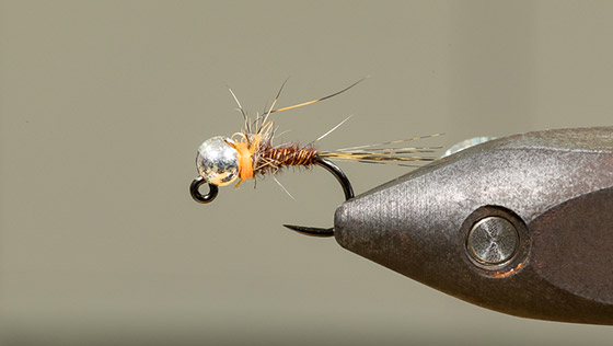 Tying Video Hot Spot Pheasant Tail Jig with Alexander Keus