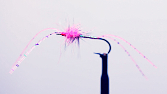 Fly Tying Video: Die Halbe