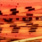 D-03