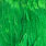 green highlander