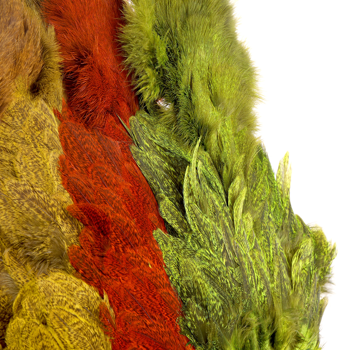 P-28068_Whiting-Coq-De-Leon-Hen-SH_C-Softhackle-with-Chickabou-Bronze-Grade_detail-1