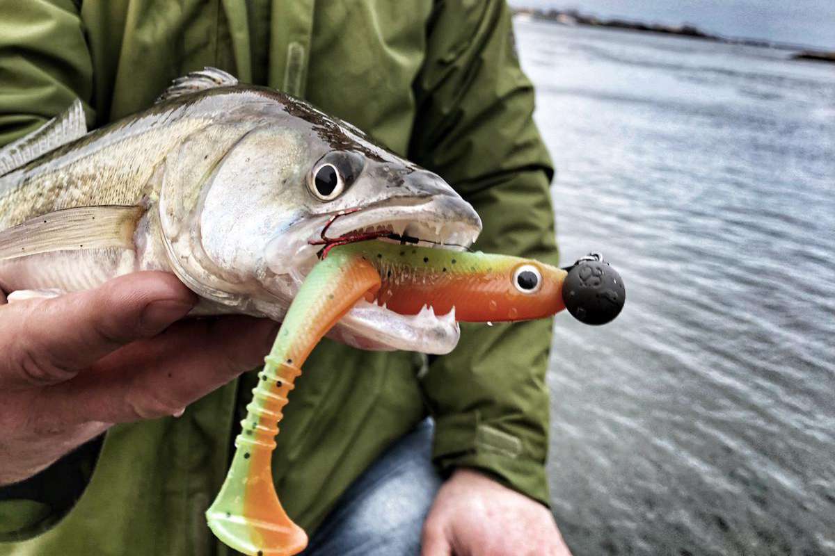 Fisherino_tungsten_Jighead_kiwi_matt_Mustad_6