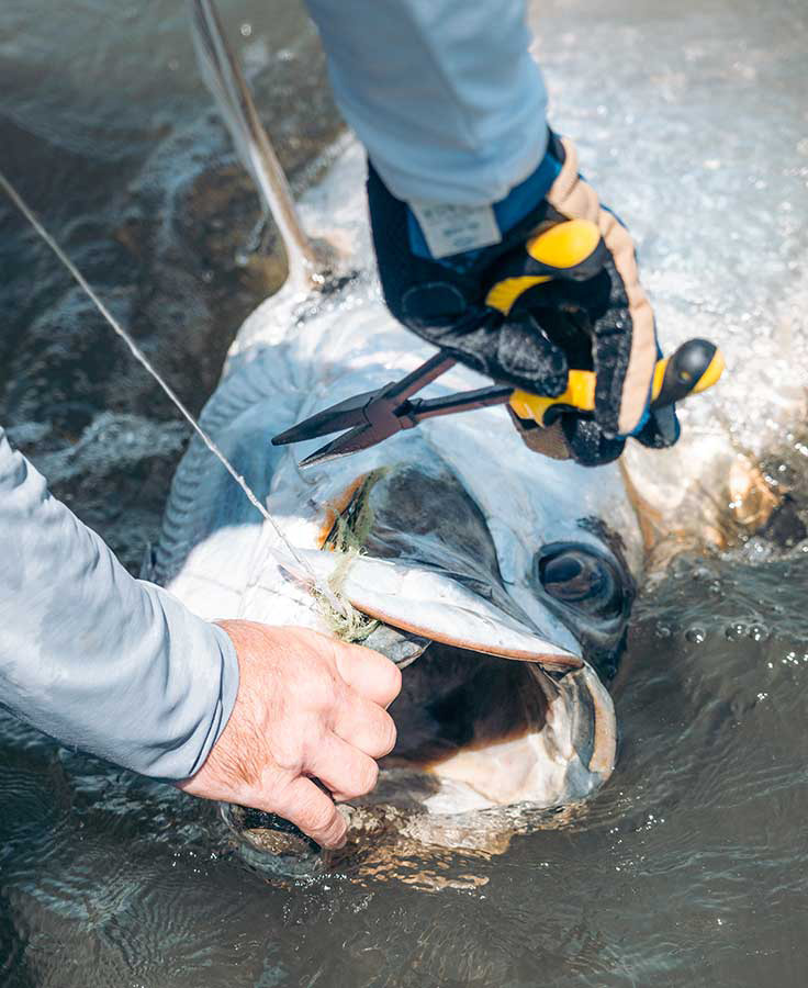 P-23219_Loon_Apex_Needle_Nose_Plier_Losezange_4