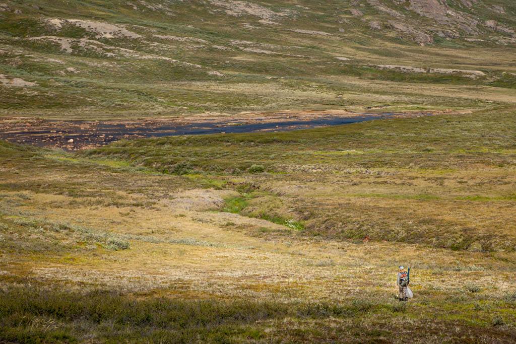 greenland-33 - Grönland 2014