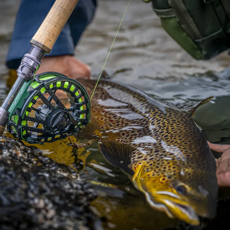 Vision_XO_III_Lifestyle_3f4QLJSSClSp0y