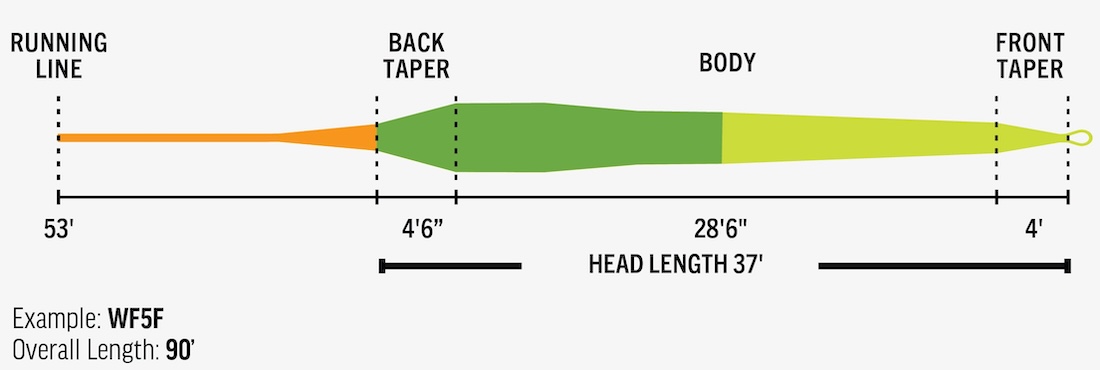 P-27313_Rio_Elite_Gold_Max_Fliegenschnur_Taper