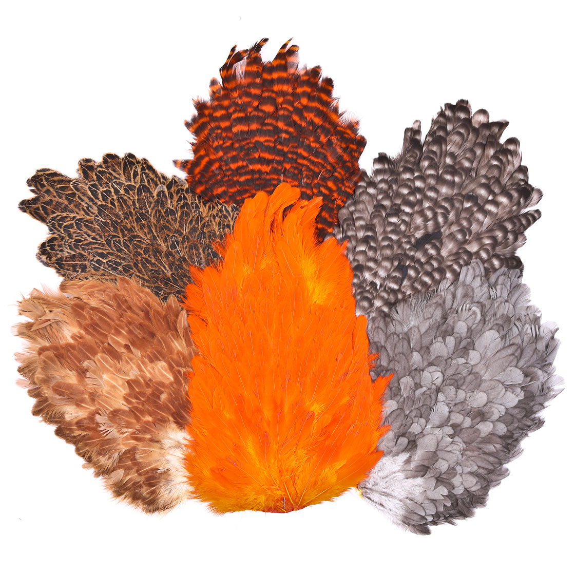 P-25374_Whiting-4-B-s-Hen-Saddle_titel Whiting 4 B's Hen Saddle