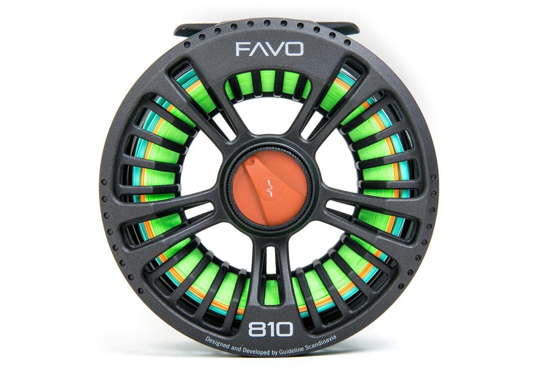 Guideline_FAVO_4