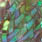 20 dark green