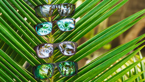 Bajio Sunglasses - Nachhaltig produzierte Polarisationsbrillen der Spitzenklasse Bajio Sunglasses - Sustainably Produced Top Class Polarised Glasses