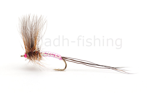 x-factor-pinklady-detail