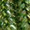 561 peacock green