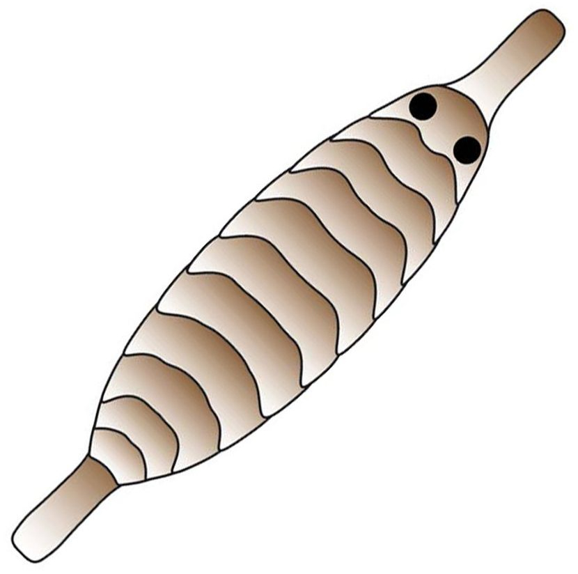 P-27711_Pro_Sportfisher_Gammarus_Shell_Back_ Brown