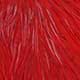 redwhole, red