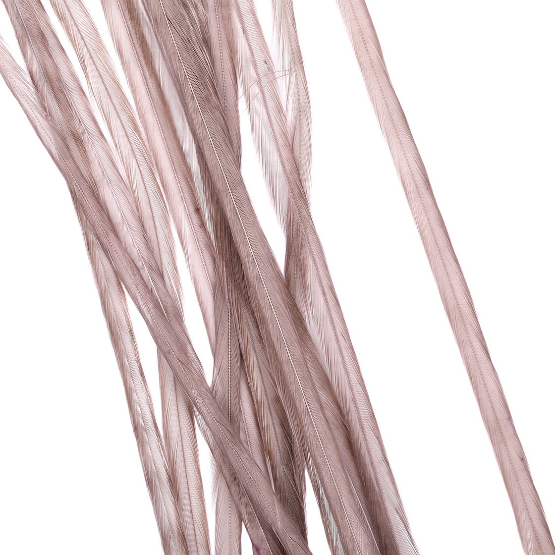 Whiting 100 Pack MFC - Dark Dun Whiting 100 Pack MFC - Dark Dun