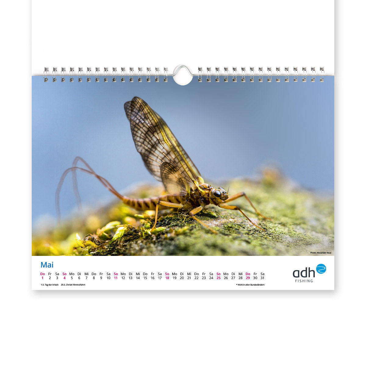 adh-kalender-2025-05