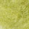 light olive