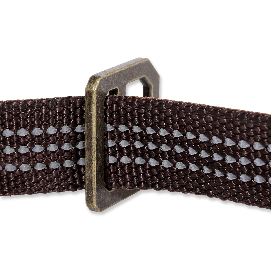 Carhartt_Nylon_Journeyman_Dog_Leash_Hundeleine_2