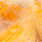 peachy orange