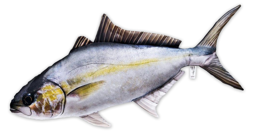 P-29190_Fischkissen_Kuscheltier_Amberjack_105cm_1 Fish Pillow Soft Toy Amberjack 105cm