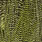 grizzly chartreuse
