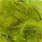 23 olive