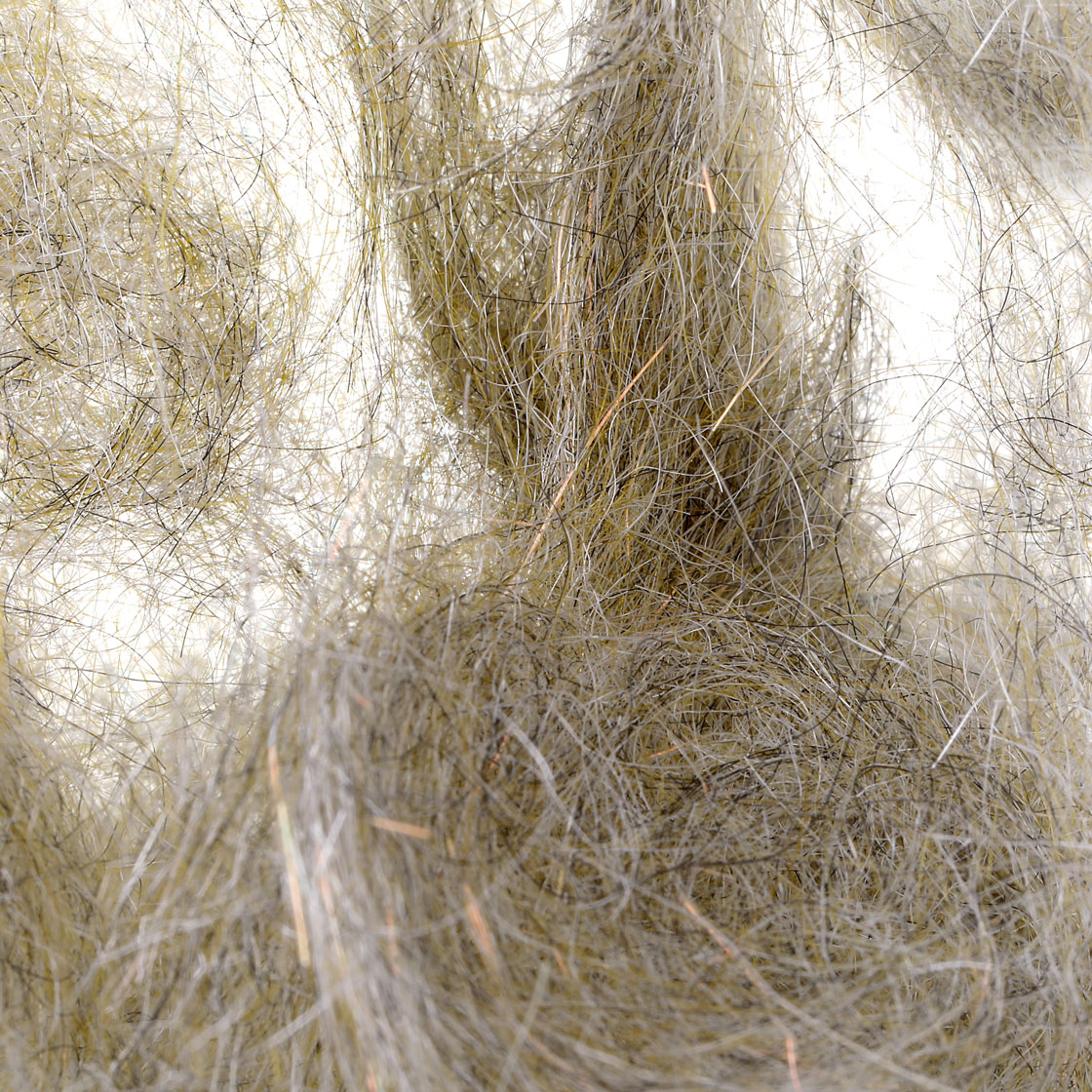 P-21030_spawns_simi_seal_dubbing_titel