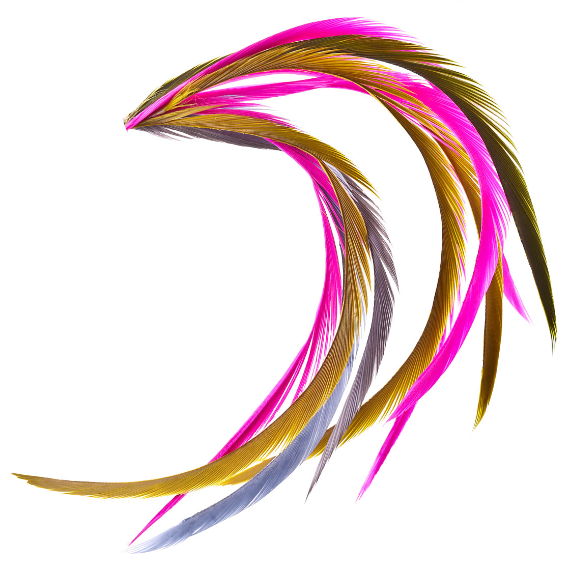 P-11650_Veniard-Ganse-Goose-Biots-_