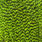 fl. green/chartreuse