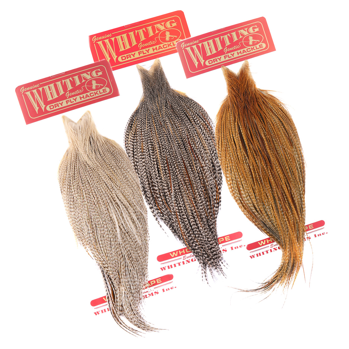 P-29042_Whiting-Commercial-CapeiKlozJRNK0zkc