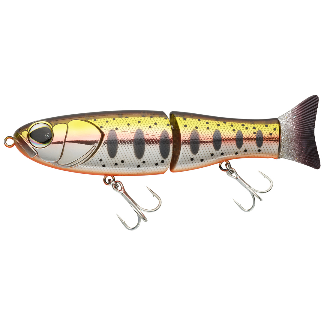 Iwana Trout