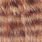 ginger brown barred