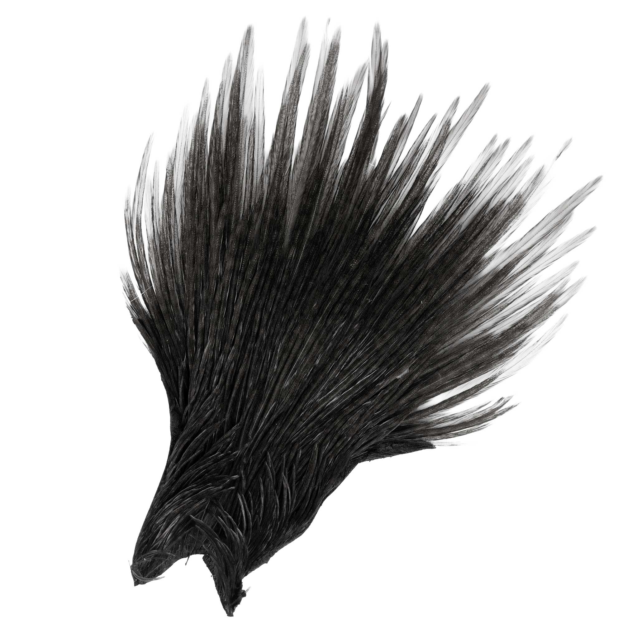 Wapsi Ewing Neck Tip Premium Qualtiy