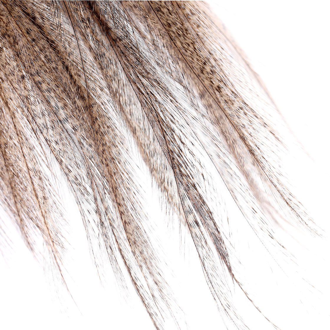 P-25395_Whiting-Coq-de-Leon-Saddle-Bronze_detail-2