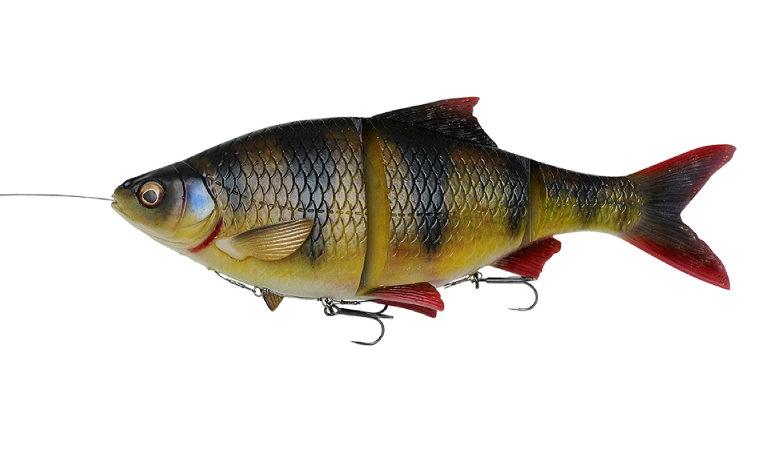Savage_Gear_4D_Line_Thru_Roach_perch_1 Perch