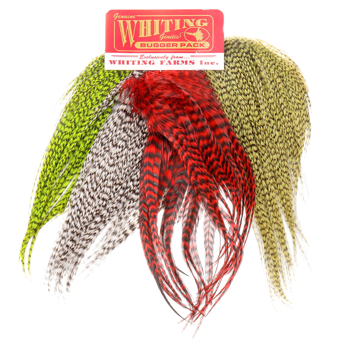 P-28071_whiting_bugger-pack Whiting Hackle Bugger Pack Grizzly