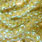 golden olive