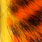 fire tiger black barred