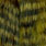 olive grizzly black barred