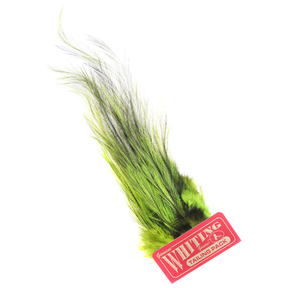 P-25388-3_Whiting-CDL-Euro-Nymph-Tailing-Pack_pardo-green-chartreuse