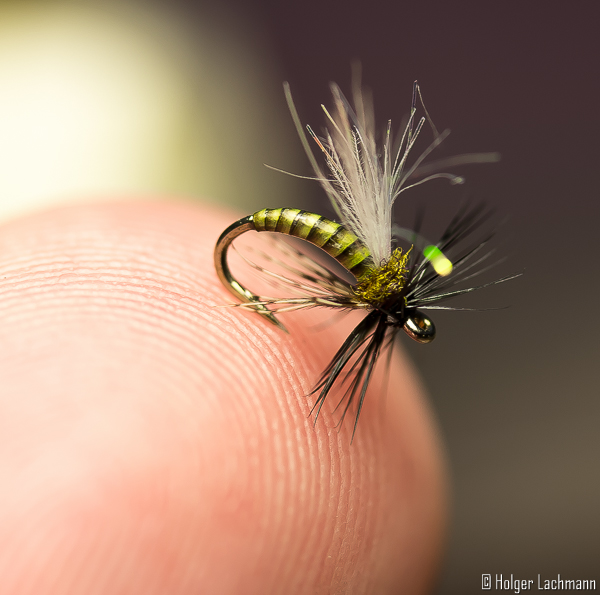 Holger_Lachmann_Whiting_Trockenfliege_Beispiele_1 Bindebeispiel (Holger Lachmann)