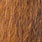 grizzly ginger