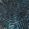 grizzly kingfisher
